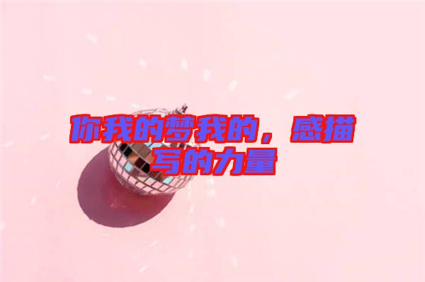 你我的夢我的，感描寫的力量