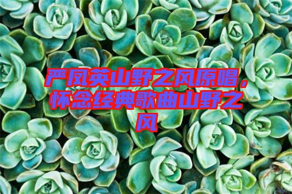 嚴鳳英山野之風(fēng)原唱，懷念經(jīng)典歌曲山野之風(fēng)