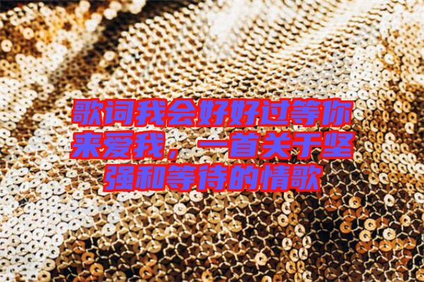 歌詞我會(huì)好好過(guò)等你來(lái)愛(ài)我，一首關(guān)于堅(jiān)強(qiáng)和等待的情歌