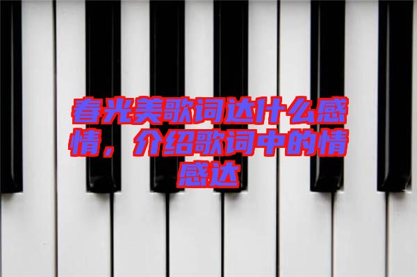 春光美歌詞達(dá)什么感情，介紹歌詞中的情感達(dá)