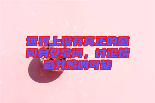 世界上沒有真正的感同身受歌詞，討論情感共鳴的可能