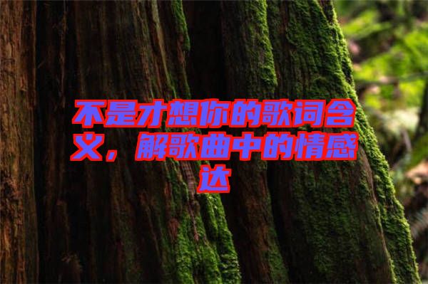 不是才想你的歌詞含義，解歌曲中的情感達(dá)