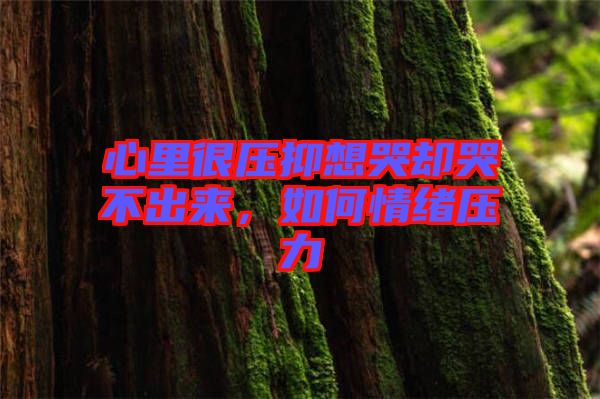 心里很壓抑想哭卻哭不出來，如何情緒壓力