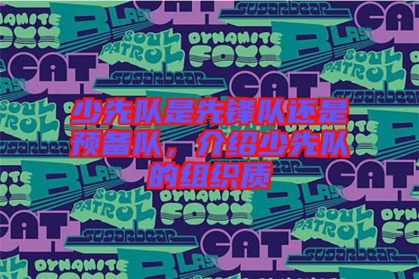 少先隊是先鋒隊還是預備隊，介紹少先隊的組織質(zhì)
