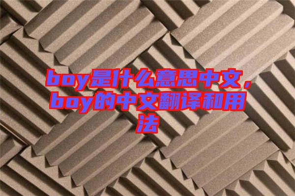 boy是什么意思中文，boy的中文翻譯和用法