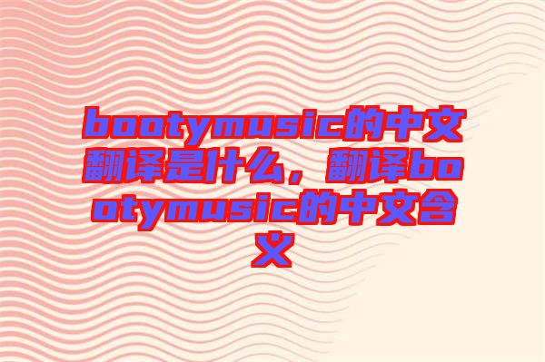 bootymusic的中文翻譯是什么，翻譯bootymusic的中文含義
