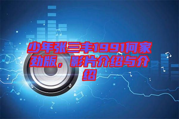 少年張三豐1991何家勁版，影片介紹與介紹