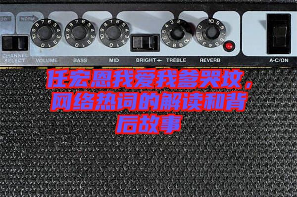 任宏恩我愛我爹哭墳，網(wǎng)絡(luò)熱詞的解讀和背后故事