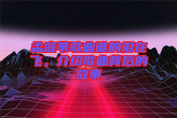 孟庭葦歌曲誰(shuí)的淚在飛，介紹歌曲背后的故事