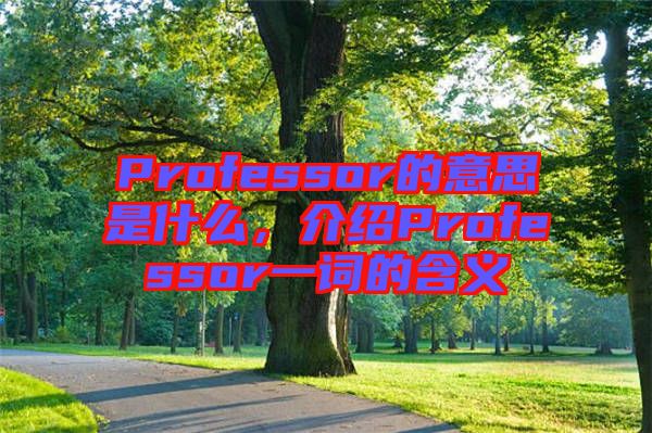 Professor的意思是什么，介紹Professor一詞的含義