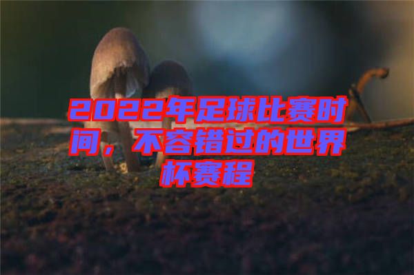 2022年足球比賽時間，不容錯過的世界杯賽程