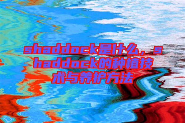 shaddock是什么，shaddock的種植技術(shù)與養(yǎng)護(hù)方法