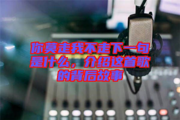 你莫走我不走下一句是什么，介紹這首歌的背后故事