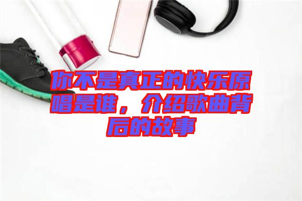 你不是真正的快樂原唱是誰，介紹歌曲背后的故事