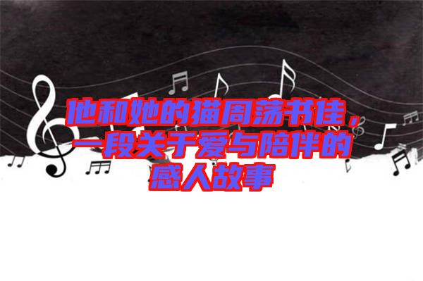 他和她的貓周蕩書佳，一段關(guān)于愛(ài)與陪伴的感人故事