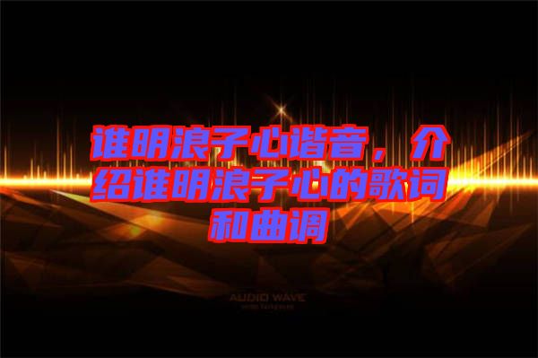 誰明浪子心諧音，介紹誰明浪子心的歌詞和曲調(diào)