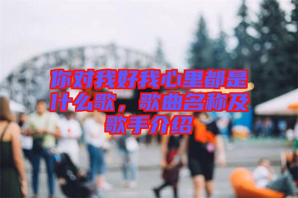 你對(duì)我好我心里都是什么歌，歌曲名稱及歌手介紹