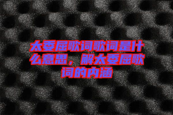 太委屈歌詞歌詞是什么意思，解太委屈歌詞的內(nèi)涵