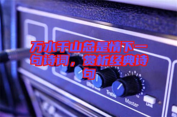萬(wàn)水千山總是情下一句詩(shī)詞，賞析經(jīng)典詩(shī)句