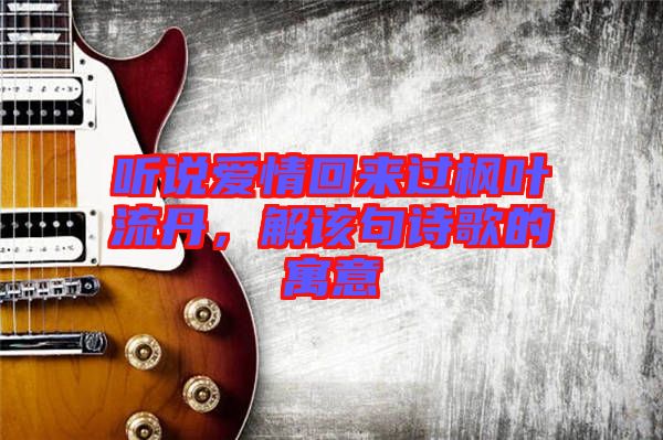 聽說愛情回來過楓葉流丹，解該句詩歌的寓意