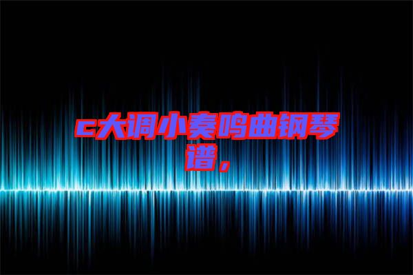 c大調(diào)小奏鳴曲鋼琴譜，