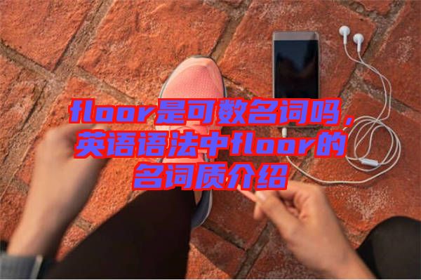floor是可數(shù)名詞嗎，英語(yǔ)語(yǔ)法中floor的名詞質(zhì)介紹