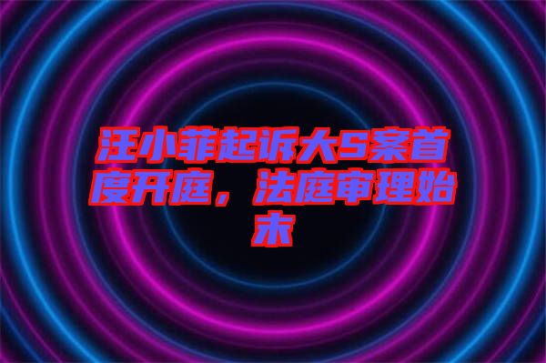 汪小菲起訴大S案首度開庭，法庭審理始末