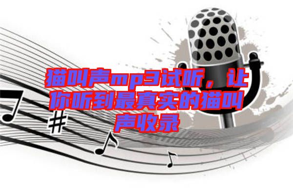 貓叫聲mp3試聽，讓你聽到最真實的貓叫聲收錄