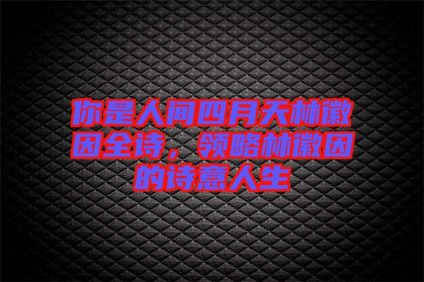 你是人間四月天林徽因全詩，領(lǐng)略林徽因的詩意人生