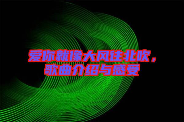 愛你就像大風往北吹，歌曲介紹與感受