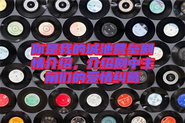 你是我的城池營壘劇情介紹，介紹劇中主角們的愛情糾葛