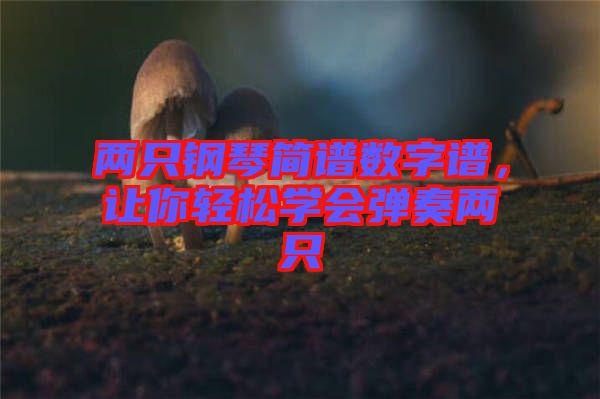 兩只鋼琴簡譜數(shù)字譜，讓你輕松學(xué)會彈奏兩只