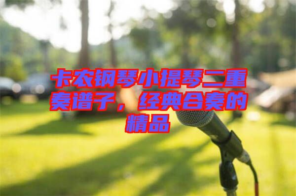 卡農(nóng)鋼琴小提琴二重奏譜子，經(jīng)典合奏的精品