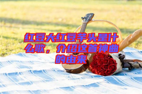 紅豆大紅豆芋頭是什么歌，介紹這首神曲的由來