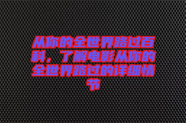 從你的全世界路過(guò)百科，了解電影從你的全世界路過(guò)的詳細(xì)情節(jié)