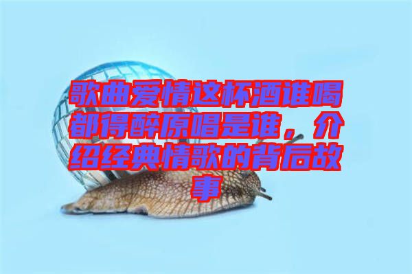 歌曲愛情這杯酒誰喝都得醉原唱是誰，介紹經(jīng)典情歌的背后故事