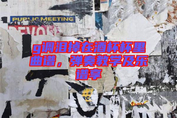 g調(diào)淚掉在酒杯杯里曲譜，彈奏教學(xué)及樂(lè)譜享