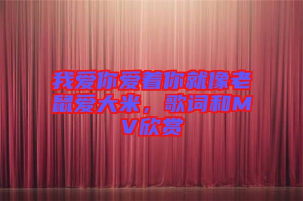 我愛你愛著你就像老鼠愛大米，歌詞和MV欣賞