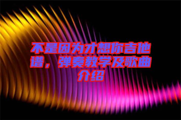 不是因?yàn)椴畔肽慵V，彈奏教學(xué)及歌曲介紹