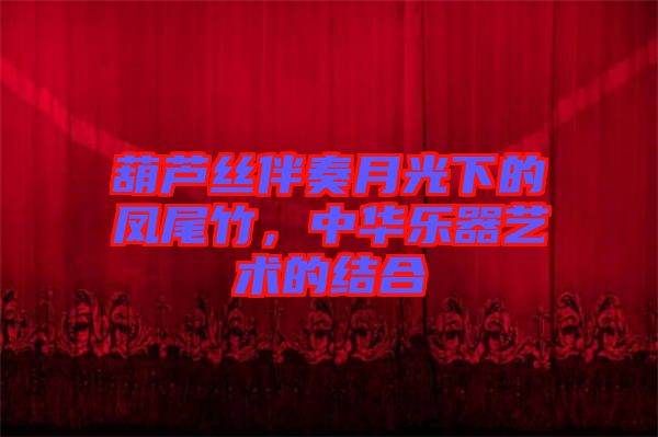 葫蘆絲伴奏月光下的鳳尾竹，中華樂器藝術(shù)的結(jié)合
