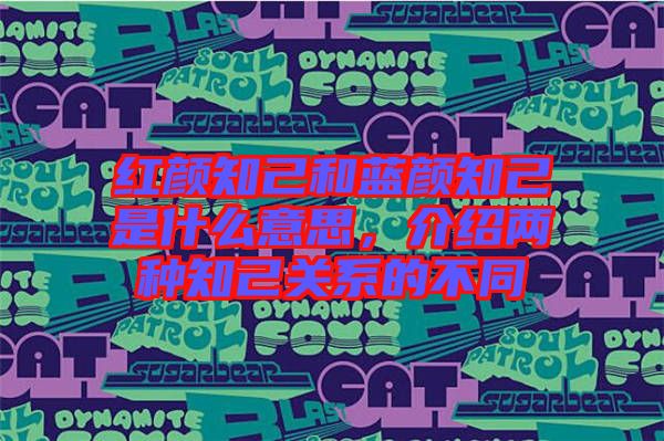 紅顏知己和藍(lán)顏知己是什么意思，介紹兩種知己關(guān)系的不同