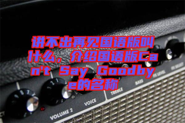 講不出再見國語版叫什么，介紹國語版Can't Say Goodbye的名稱
