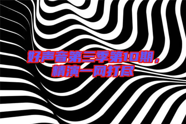 好聲音第三季第10期，精演一網(wǎng)打盡