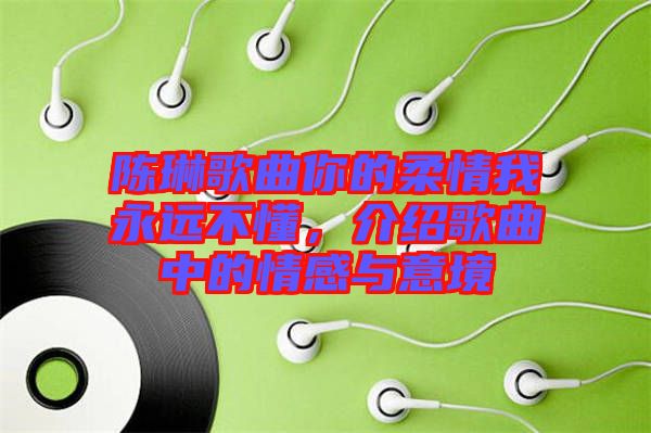 陳琳歌曲你的柔情我永遠不懂，介紹歌曲中的情感與意境