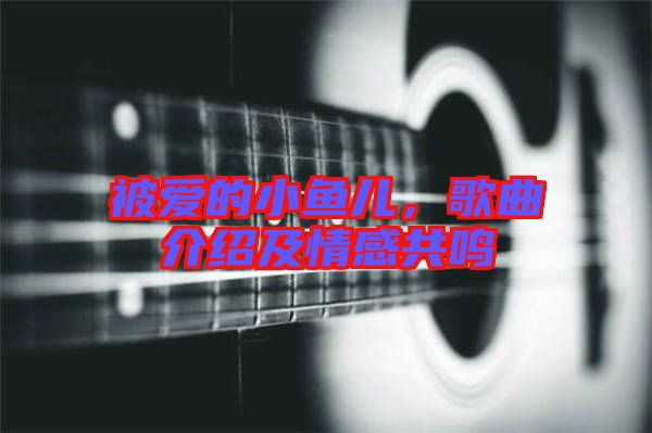 被愛的小魚兒，歌曲介紹及情感共鳴