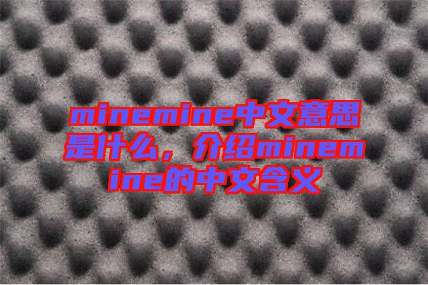 minemine中文意思是什么，介紹minemine的中文含義