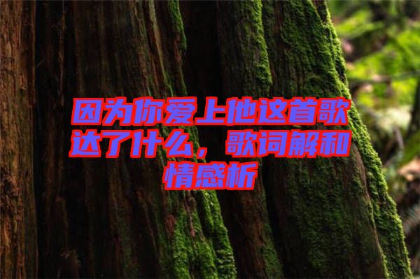 因?yàn)槟銗凵纤@首歌達(dá)了什么，歌詞解和情感析