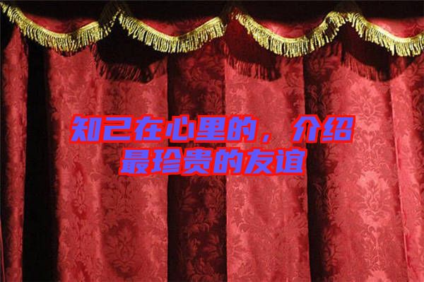 知己在心里的，介紹最珍貴的友誼