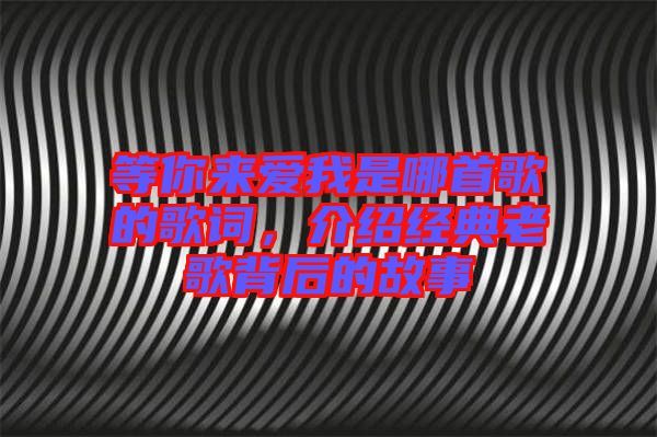 等你來愛我是哪首歌的歌詞，介紹經(jīng)典老歌背后的故事