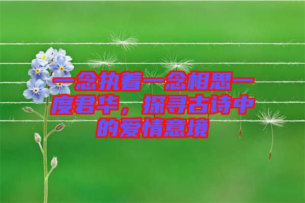 一念執(zhí)著一念相思一度君華，探尋古詩(shī)中的愛(ài)情意境